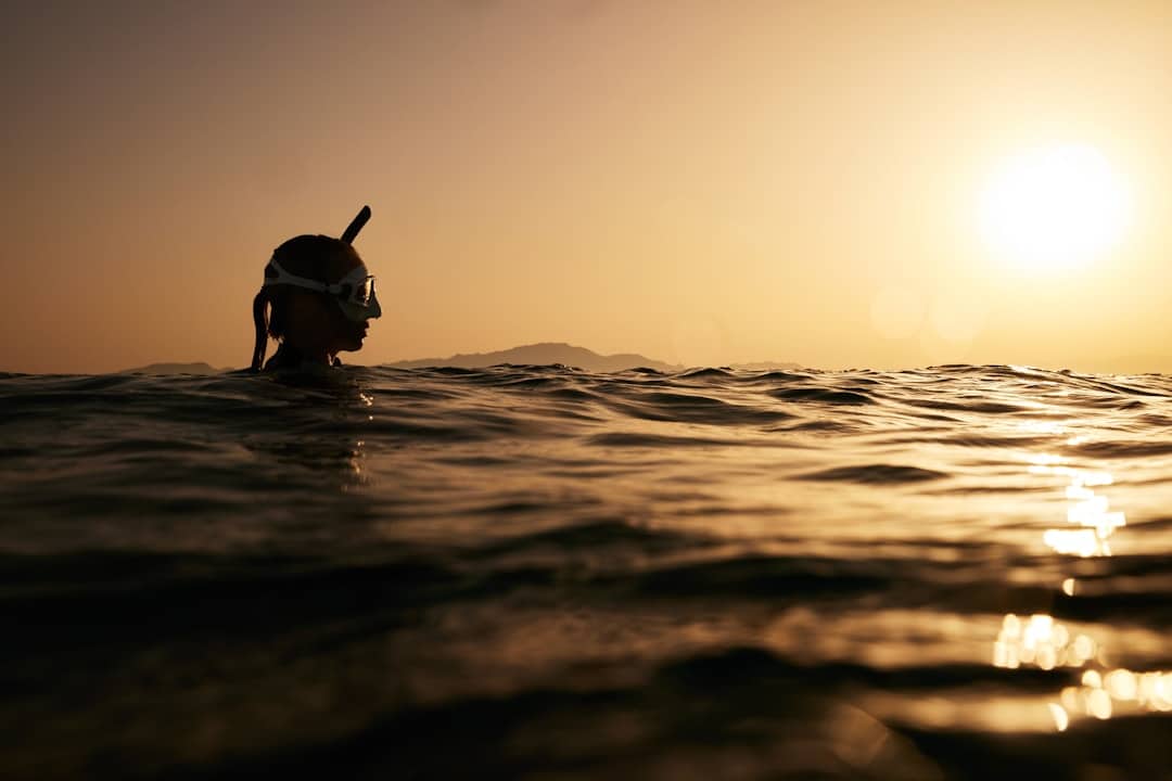 découvrez l'importance de la biodiversité pour notre planète. explorez les différentes espèces, leurs écosystèmes, et comment préserver notre riche patrimoine naturel pour les générations futures.