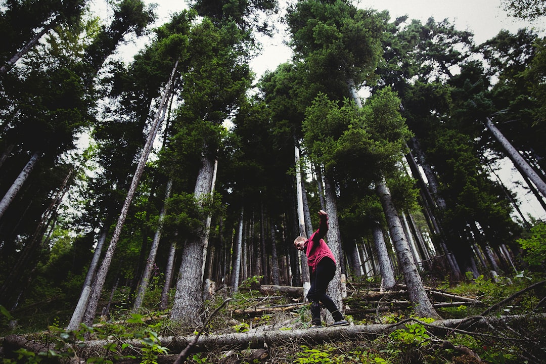 découvrez les bienfaits de l'outdoor fitness : combinez exercice physique et nature pour un entraînement revitalisant. profitez de séances en plein air, adaptez votre routine et améliorez votre bien-être tout en explorant des environnements extérieurs inspirants.