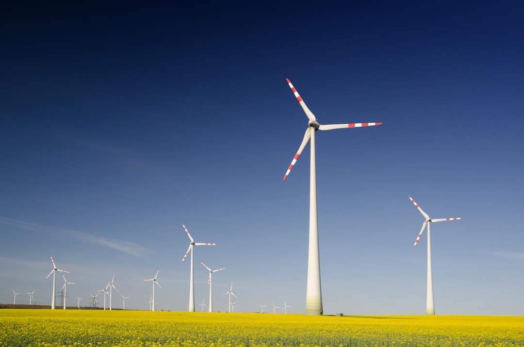 découvrez comment la durabilité façonne notre avenir, en adoptant des pratiques respectueuses de l'environnement, en réduisant notre empreinte carbone et en préservant les ressources pour les générations futures.