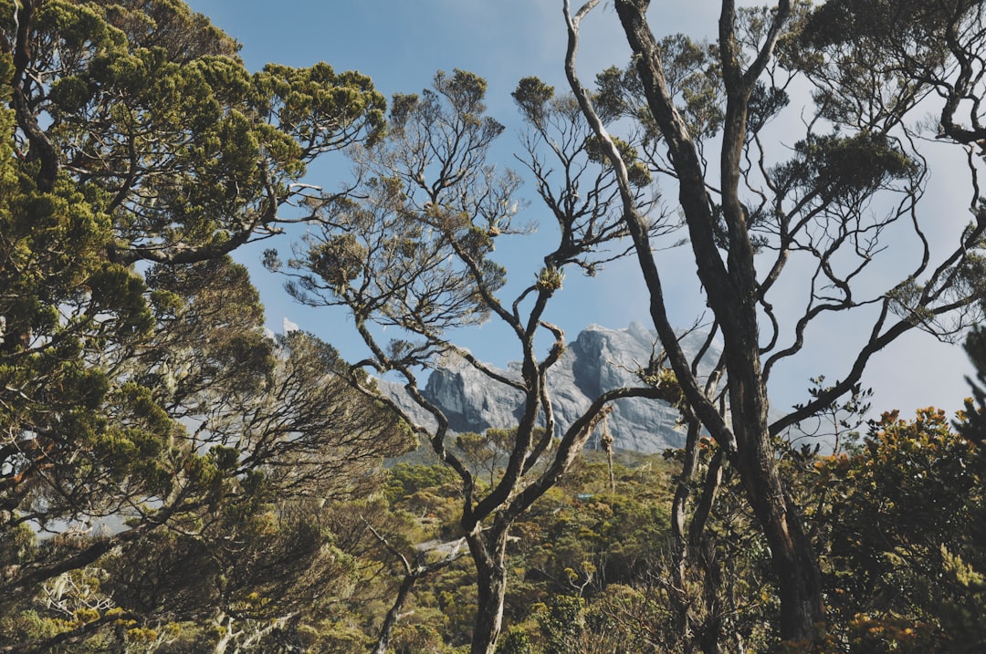 découvrez votre sanctuaire en plein air, un espace apaisant où la nature rencontre le confort. parfait pour la détente, la méditation ou des moments en famille, cet endroit idéal vous invite à vous ressourcer et à profiter de l'extérieur en toute sérénité.