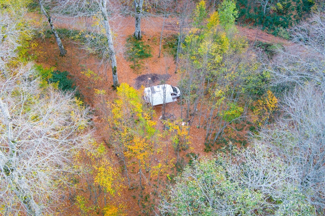 découvrez le monde passionnant du caravaning : conseils, astuces et destinations idéales pour profiter des joies de la caravanes et du camping. partez à l'aventure tout en préservant votre confort.