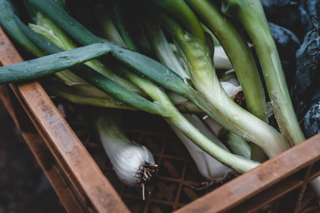 découvrez notre sélection d'outils de jardinage essentiels pour entretenir votre jardin avec efficacité. de la bêche à la serfouette, trouvez l'équipement parfait pour vos projets de jardinage et faites de votre espace extérieur un véritable havre de paix.